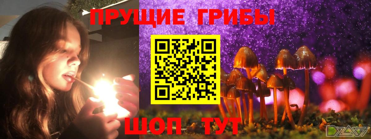 Алапаевск  где купить   Вход с VPN  Галлюциногенные грибы Psilocybe 